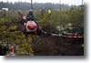 alastaro_4-2008_137.gif
