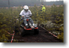 alastaro_4-2008_142.gif