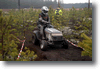 alastaro_4-2008_146.gif