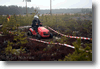 alastaro_4-2008_40.gif