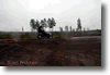 alastaro_4-2008_72.gif