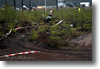 alastaro_4-2008_89.gif