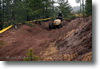 alastaro_4-2008_98.gif