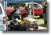 pargas_2009_74.gif