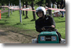 pargas_2009_81.gif